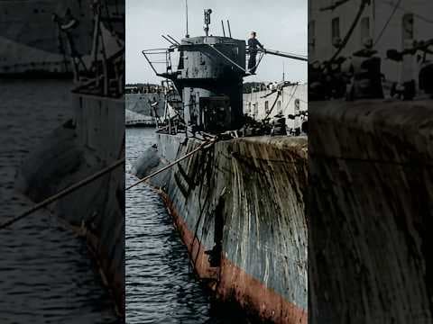 The U-Boat That Escaped to Argentina #history #ww2 #germany