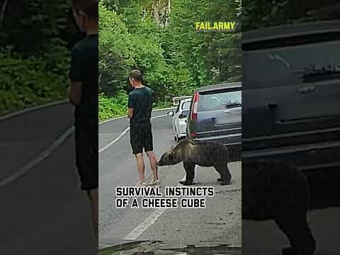 What happens when you don't pay attention #bear #wildanimals #animalencounters #scare #shorts