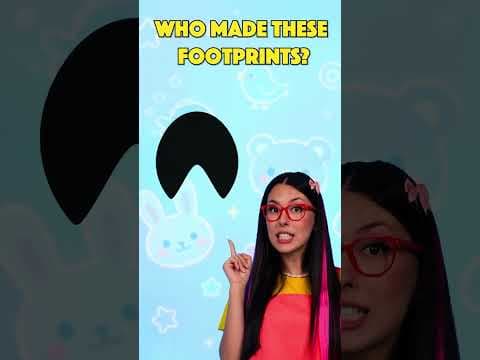 Who do these footprints belong to? 🕵️👣 Mystery footprint adventure #forkids